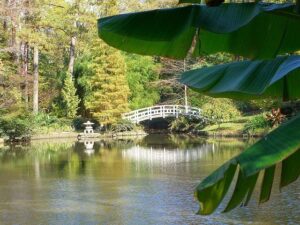 4079299414_f979713b0e_z