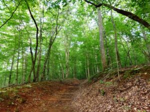 Eno River State Park
