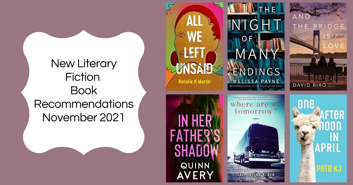 New Literary Fiction Book Recommendations | November 2021