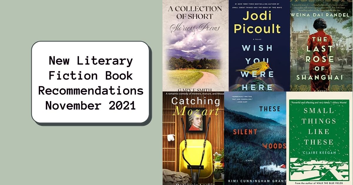 New Literary Fiction Book Recommendations | November 2021