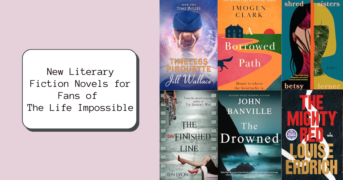 New Literary Fiction Novels for Fans of The Life Impossible