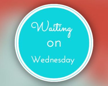 Waiting on Wednesday- The Mountain Story