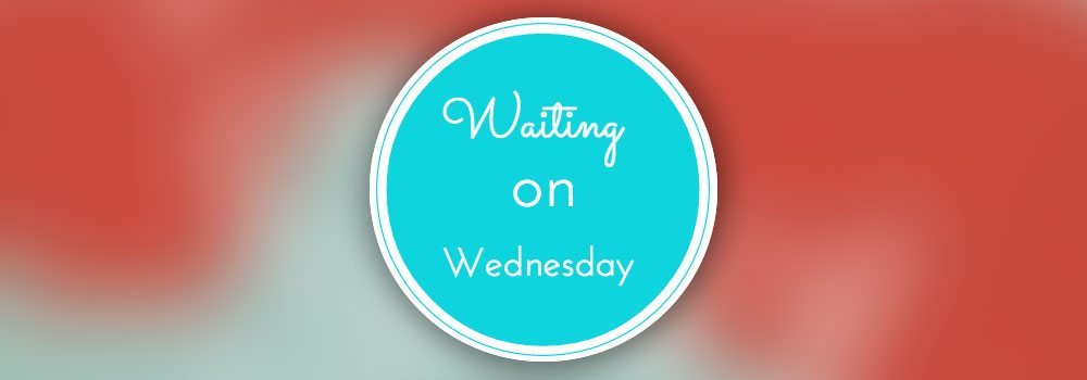 Waiting on Wednesday- The Mountain Story