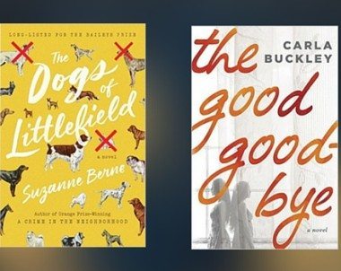 New Books to Read in Literary Fiction | January 12