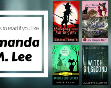Books to Read if You Like Amanda M. Lee