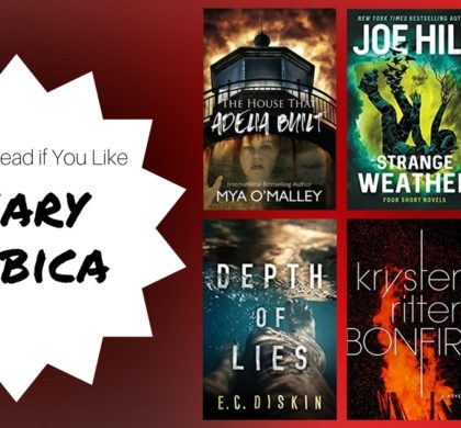 Books To Read If You Like Mary Kubica