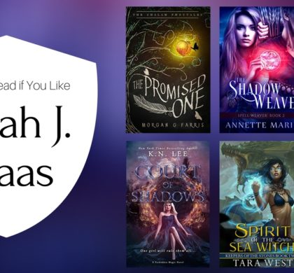 Books To Read If You Like Sarah J. Maas