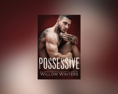 The Story Behind Possessive by Willow Winters