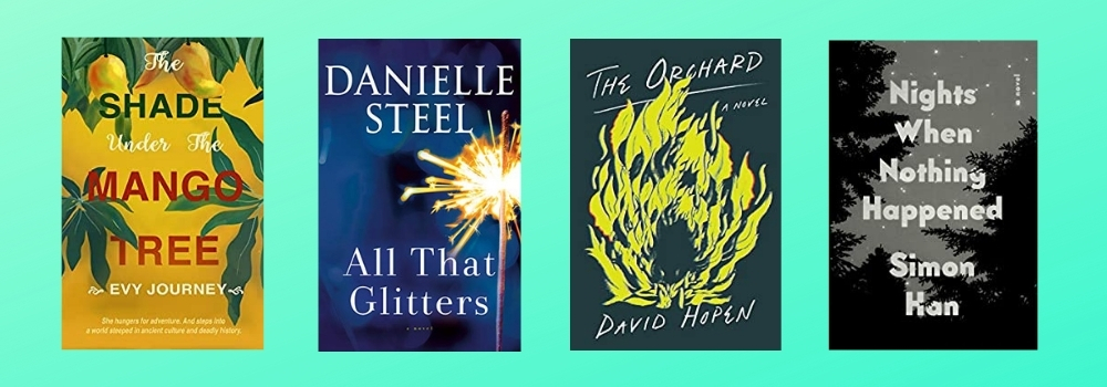 New Books to Read in Literary Fiction | November 17