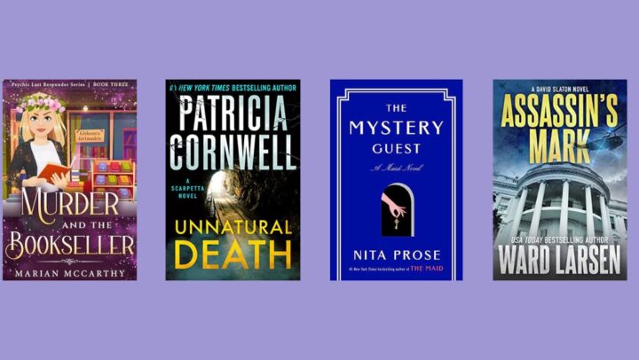 New Mystery and Thriller Books to Read | November 28