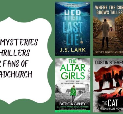 6 New Mysteries and Thrillers for Fans of Broadchurch