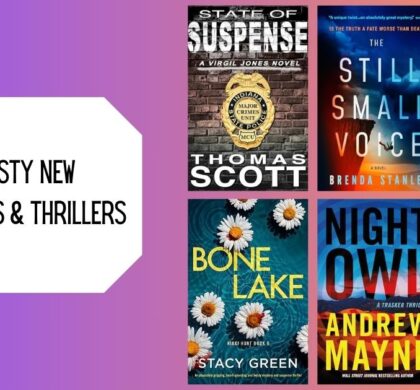 6 Twisty New Mysteries & Thrillers
