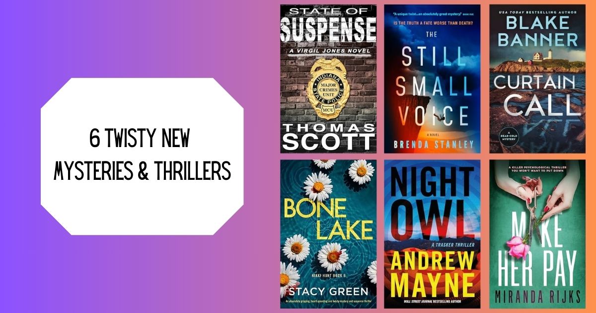 6 Twisty New Mysteries & Thrillers