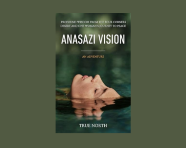 Interview with True North, Author of Anasazi Vision