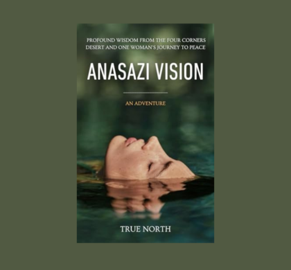 Interview with True North, Author of Anasazi Vision