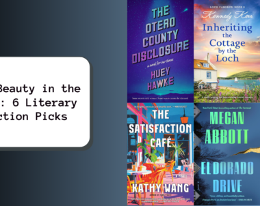 The Beauty in the Blur: 6 Literary Fiction Picks