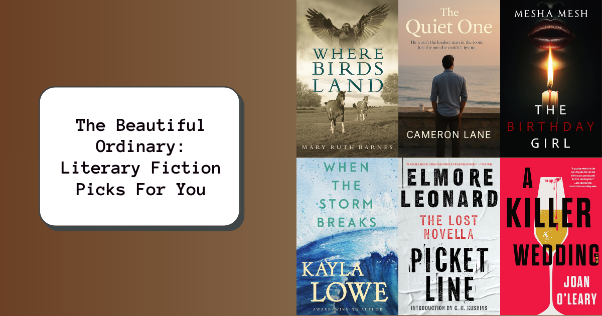 The Beautiful Ordinary: Literary Fiction Picks For You