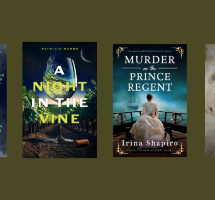 New Books to Read in Literary Fiction | November 25